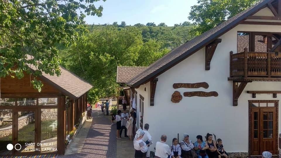 Гостевой дом Valea Stâncii Trebujeni-16